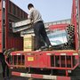新型猪舍全自动上料料线  母猪舍自动化料线  养猪设备