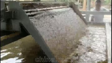 污泥压滤脱水找广东美邦！