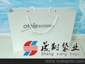 广州天河中号礼品袋，广州纸袋工厂，按版制作袋子，纸袋订做