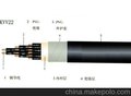 多芯控制电缆