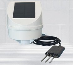 o؝Ȃ ̖:WSD-WX̖M408555
