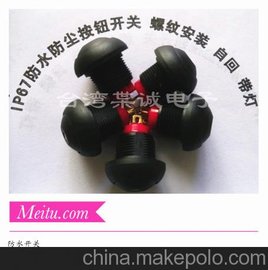 豸Сᴥ