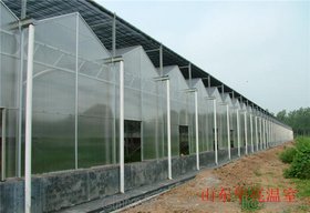 pc阳光板温室建设/山东华亮文洛式阳光板温室制造厂家