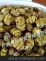 养殖场直销铁皮石斛 大荆仿铁皮枫斗