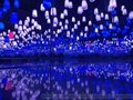 展览呼吸之光梦幻唯美呼吸森林 出租出售