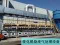 福建催化燃烧净化器  VOC废气治理有机废气 厂家直销