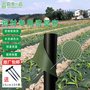 现货直销农用抗老化药材除草布 防冻防草园艺地布除草地膜