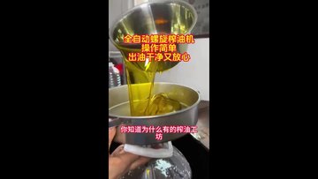 新型条排螺旋榨油机商用花生核桃菜籽冷榨机智能温控高出油率