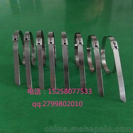 Ϻ ɭP 304|(zh)4.6*300