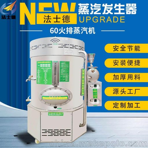 商用燃?xì)庹羝l(fā)生器 全自動(dòng)立式雙燃料蒸汽發(fā)生器圖片