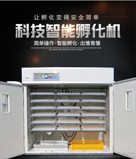 大中小型全自動孵化機、雞鴨鵝鴿子孵化機、家禽珍禽孵化機育雛機圖片