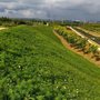 边坡客土喷播植草 绿化植被防护工程矿山修复风电 修复牢固透气