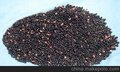河北臻兴饲料大量供应优质低廉花椒籽