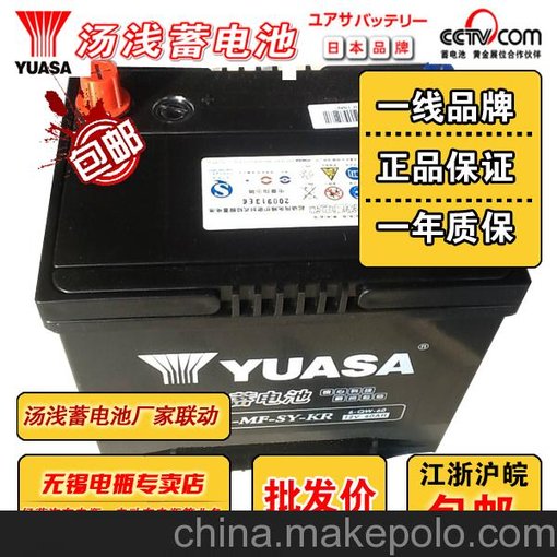 卡羅拉/花冠/雅力士/比亞迪/帝豪/伊蘭特湯淺蓄電池55D23L圖片
