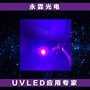 紫外线275nm UVLED 杀菌模块 DC12V供电
