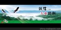2014石家庄新华区物业管理资质证书年检