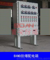 װBXM(D)51ϵз
