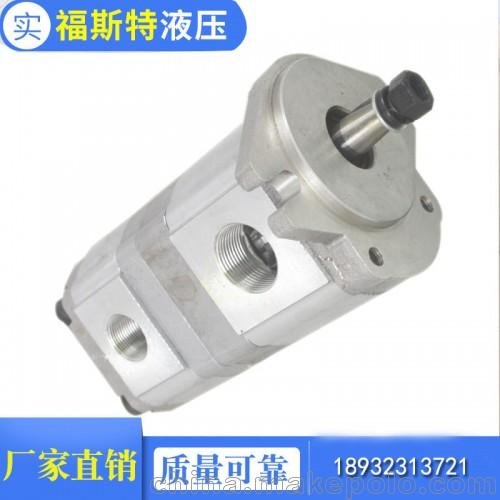 四川長(cháng)江同款雙聯(lián)齒輪泵CBK1020 CBK1020圖片