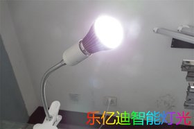 LED-LYD-BG5ݟbʩ