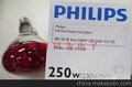 PHILIPS BR125 IR 230-250V 250W