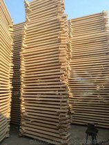 建淼木业  供应 河南杨木板材  白杨木烘干板材 厂家直销