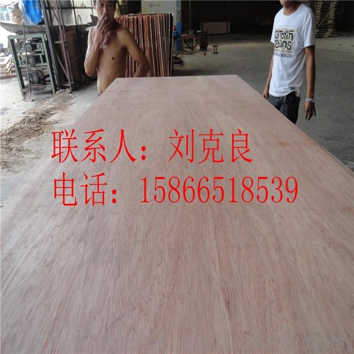 廠家直銷家具用膠合板 奧古曼貼面膠合板 家具用全樺木膠合板圖片