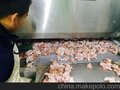 鸡胗、鸡脖、鸡爪、鸡肉等生鲜速冻设备