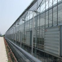 全自动玻璃温室骨架 草莓种植 阳光温室大棚 阳光板大棚