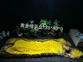 黄金樟根雕茶盘 实木茶托盘 茶几茶台 功夫泡茶桌 整板无拼接满榴