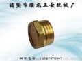 外丝堵帽