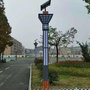 道路组合灯景观灯道路灯