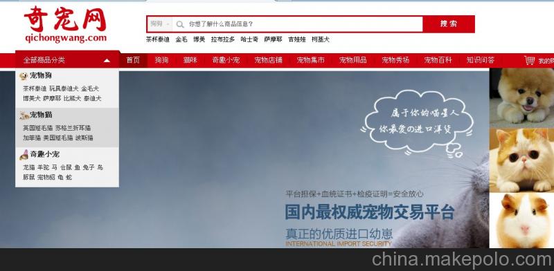 奇寵網眉山加盟