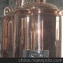 自酿啤酒设备 北京厂家直销