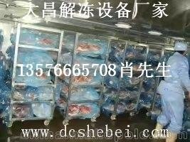 魷魚海鮮解凍設備廠家報價圖片