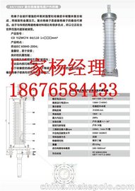 L(chng)@S(chng)(D)_110kv(lin)|