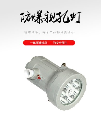 BAK85系列消防應(yīng)急照明燈具(防爆型)圖片
