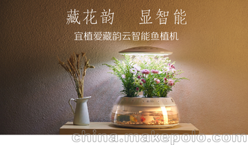 ֲֲ