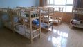 四川幼儿园家具各类幼儿园床批发