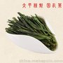 供应黄山猴坑猴魁茶