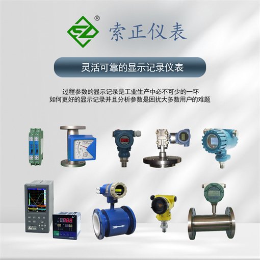 鉑熱電阻WZP-430團(tuán)隊(duì)推薦圖片