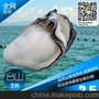 供应 台山生蚝 萝岗生蚝地区批发优质烧烤 炭烧 碳烤 刺身生蚝