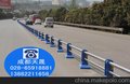 四川道路护栏厂家 四川市政道路护栏厂家批发 成都天晟
