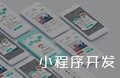 宁晋网络公司 APP开发 app软件定制 宁晋天纯科技