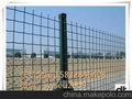 山竹围栏网#防破坏绿色围网#山竹铁丝围网批发