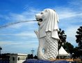 新加坡海运新加坡海上运输门到门双清