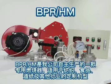 分体式燃烧器BPR