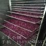 不锈钢玫瑰花瓣烘干筐  果脯烘干篮  茶叶烘干篮筐
