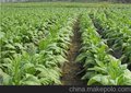 节能高效热泵烘干机、定制节能烘干房、食品干燥