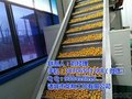 鹌鹑蛋蒸煮设备价格_诸城龙翔工贸