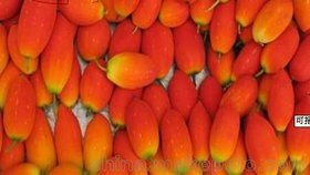 红香果 红参果 火蜜果 原产南美洲 风味独特 口感 珍稀水果